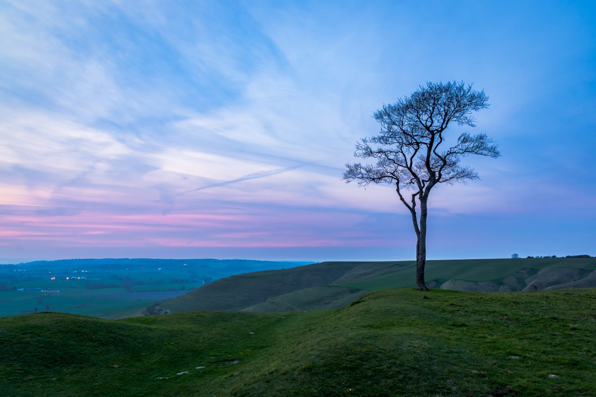 Roundway Hill in Wiltshire